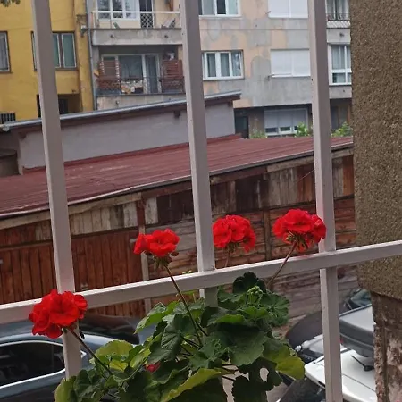 Apartment Mary's Palace - Marijin Dvor